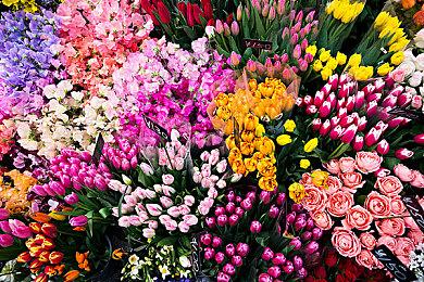 对美科技公司伤害太大：特朗普欲在美国封禁DeepSeek